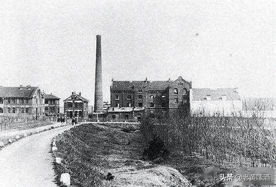 哈尔滨啤酒是假的吗,哈尔滨啤酒为啥会被卖掉的