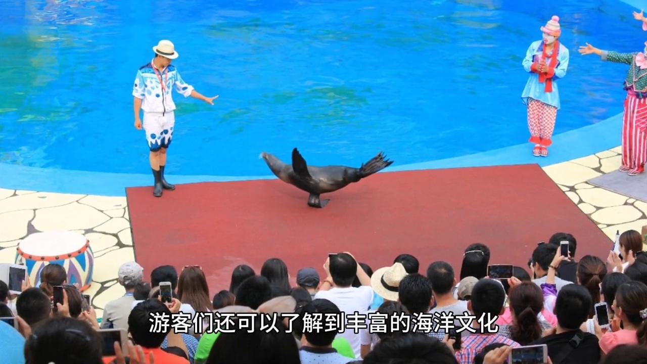 大连老虎滩海洋公园地图,辽宁大连老虎滩海洋公园