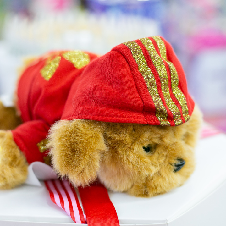 一家玩具店,一家玩具店的玩具有多好玩儿