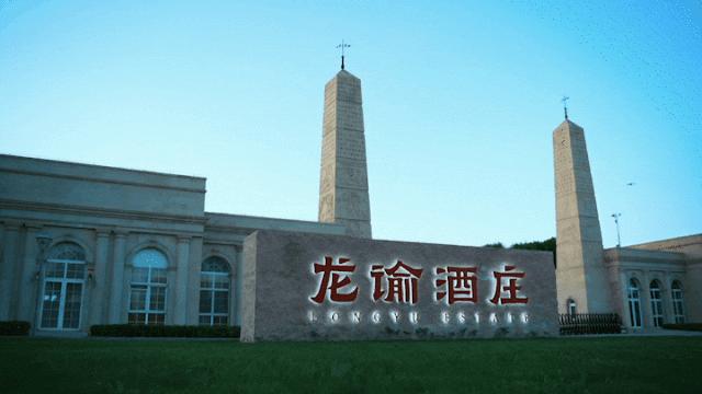 正和岛商界领导,正和岛董事长