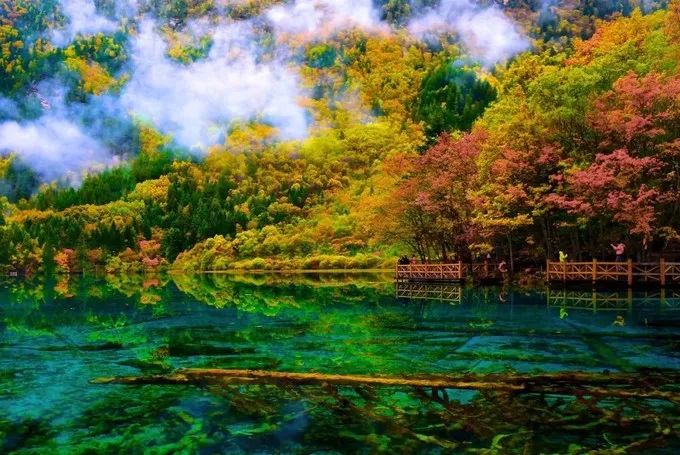 你没见过的雪后九寨沟,你见过雪景吗