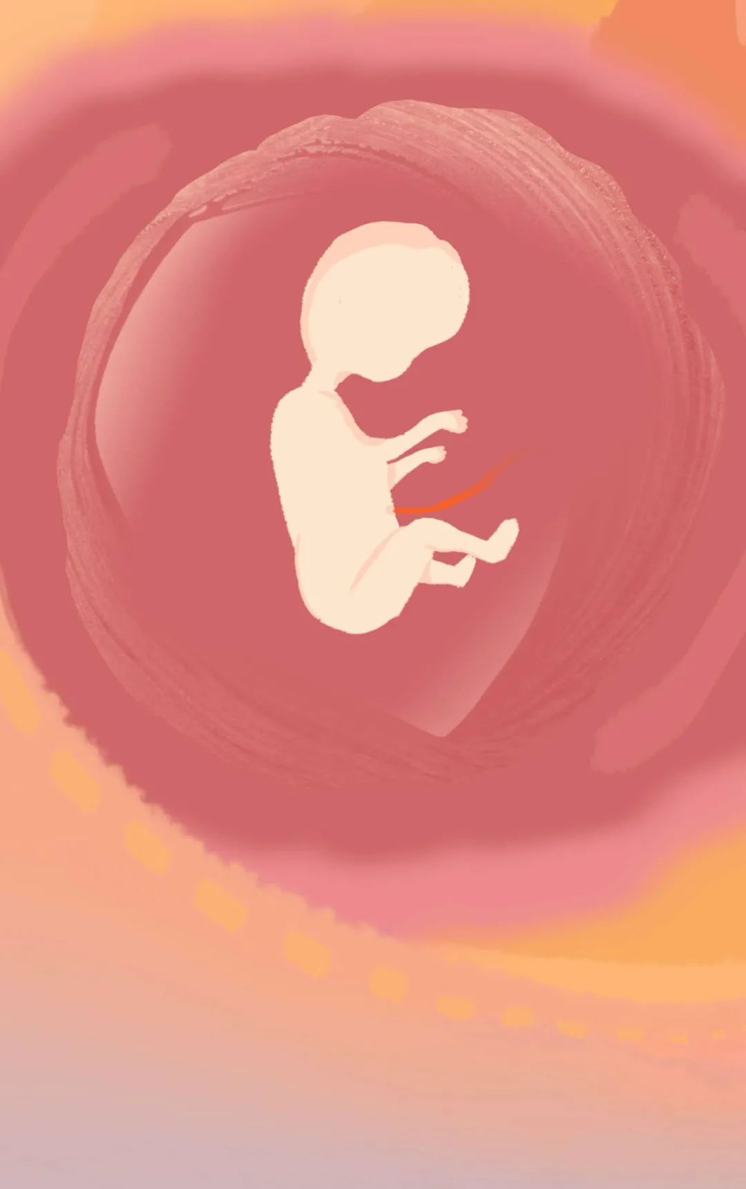 女人是如何怀孕的呢,女性怀孕的全部过程