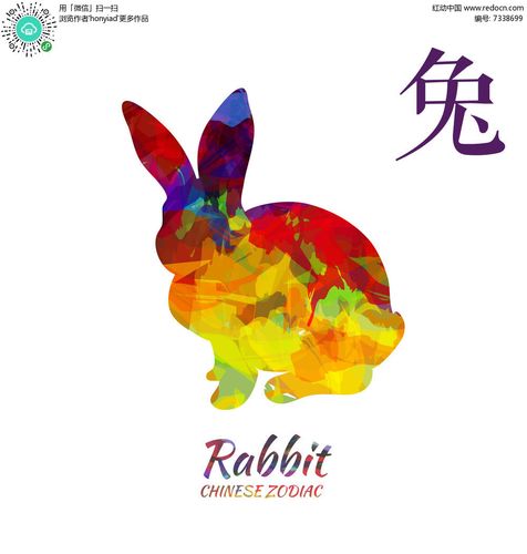 生肖兔2023年下半年运势深度解析,63年生肖兔2023年本命年运势