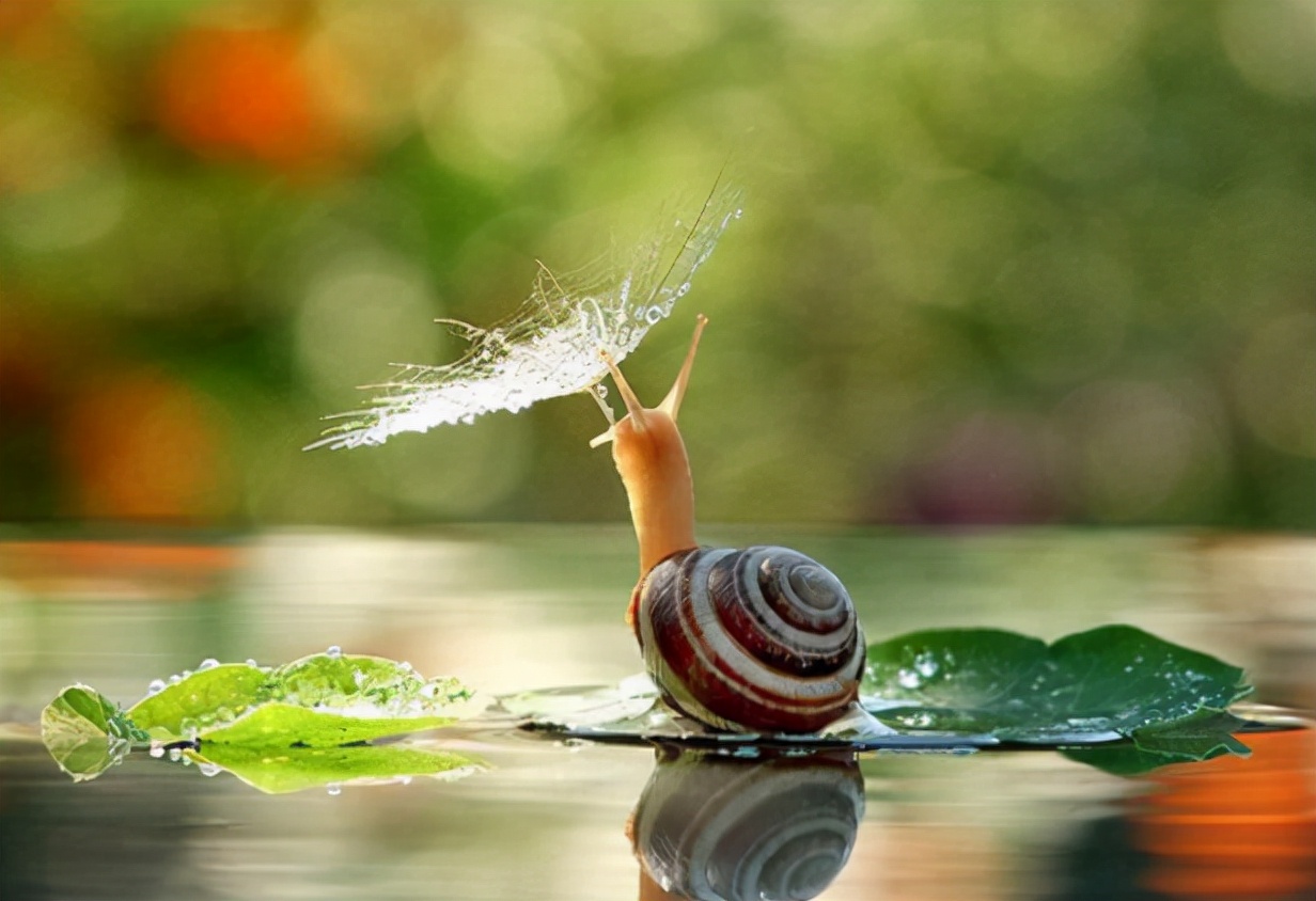 体育单招延期通知最新,2022体育单招延期了吗