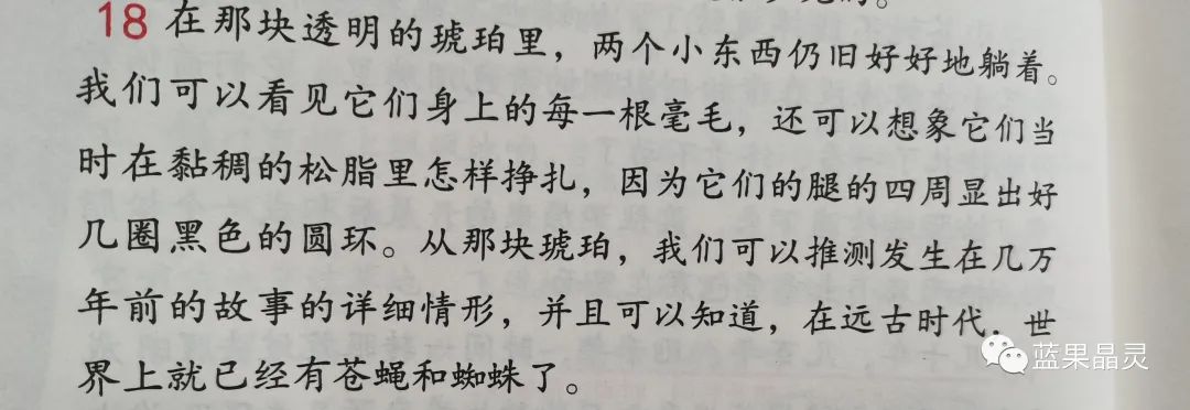 四下语文:第2单元课本内容(复习+练习)