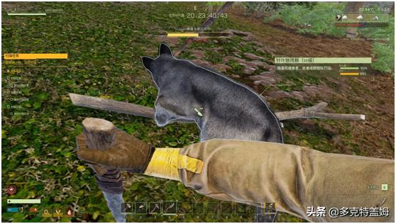 翼星求生游戏,生存游戏翼星求生