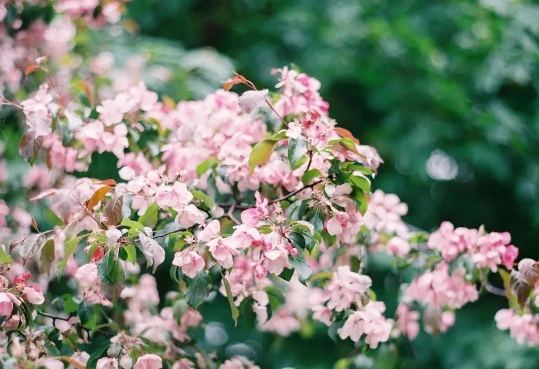 增广贤文爱情智慧句子,增广贤文10种智慧