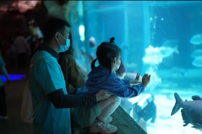 2022年花YOUNG海南·体育研学游推广活动落下帷幕社会各界反响热烈