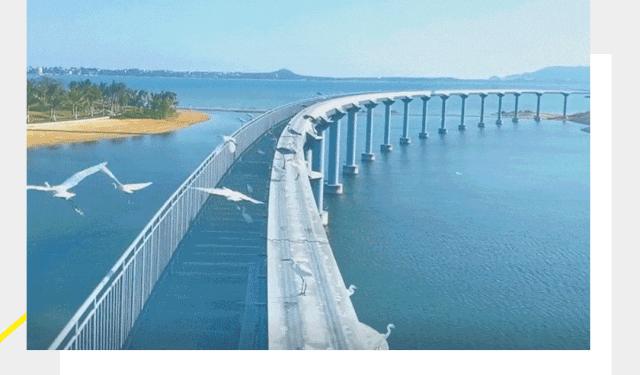 富力海南项目哪个好,富力在海南的楼盘