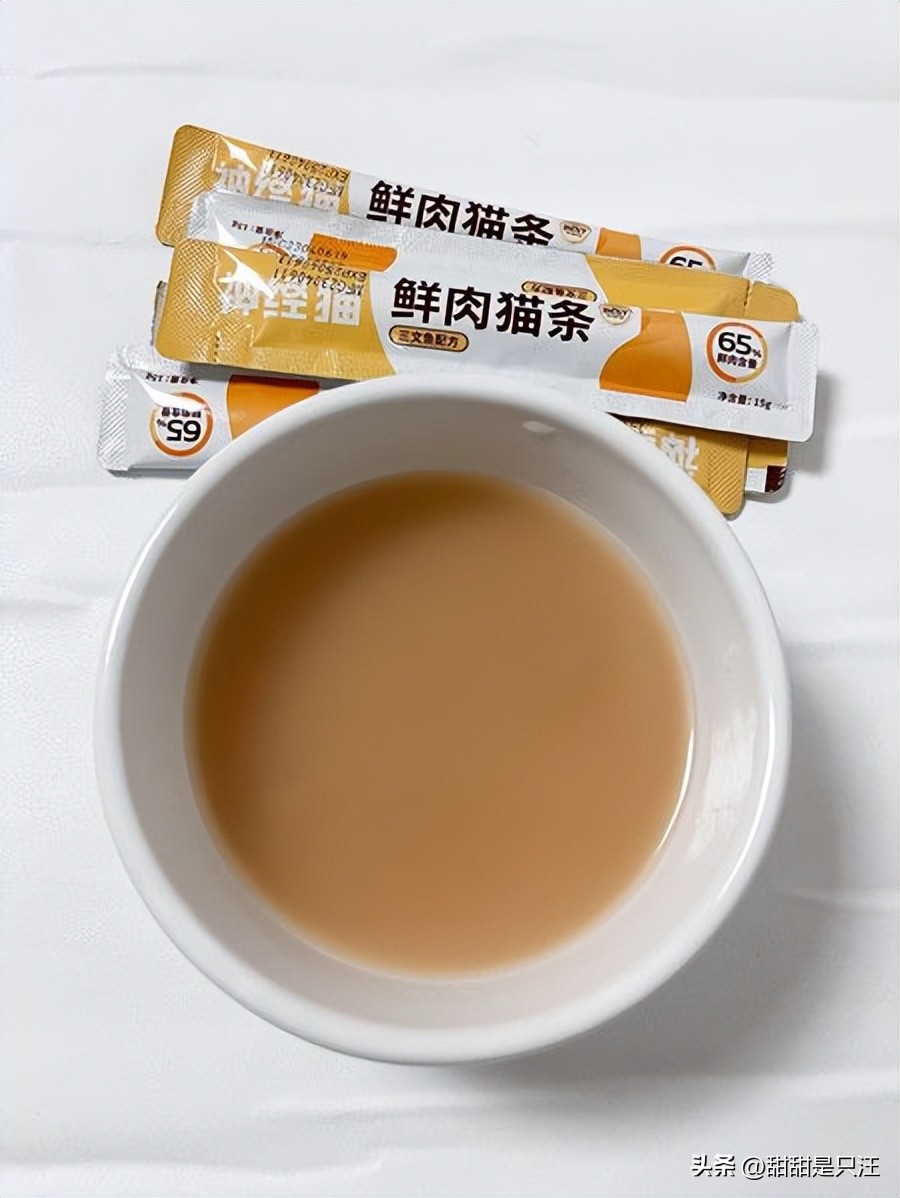 猫咪不喝水？教你10招骗水小技巧