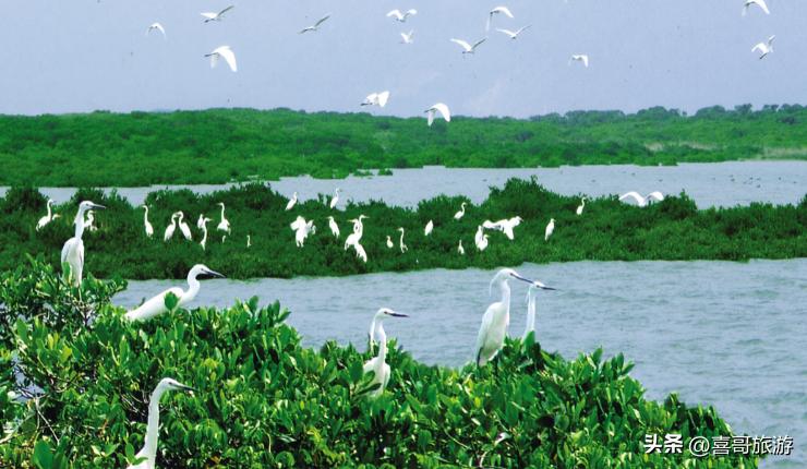 福建云霄旅游攻略大全,福建漳州云霄旅游攻略