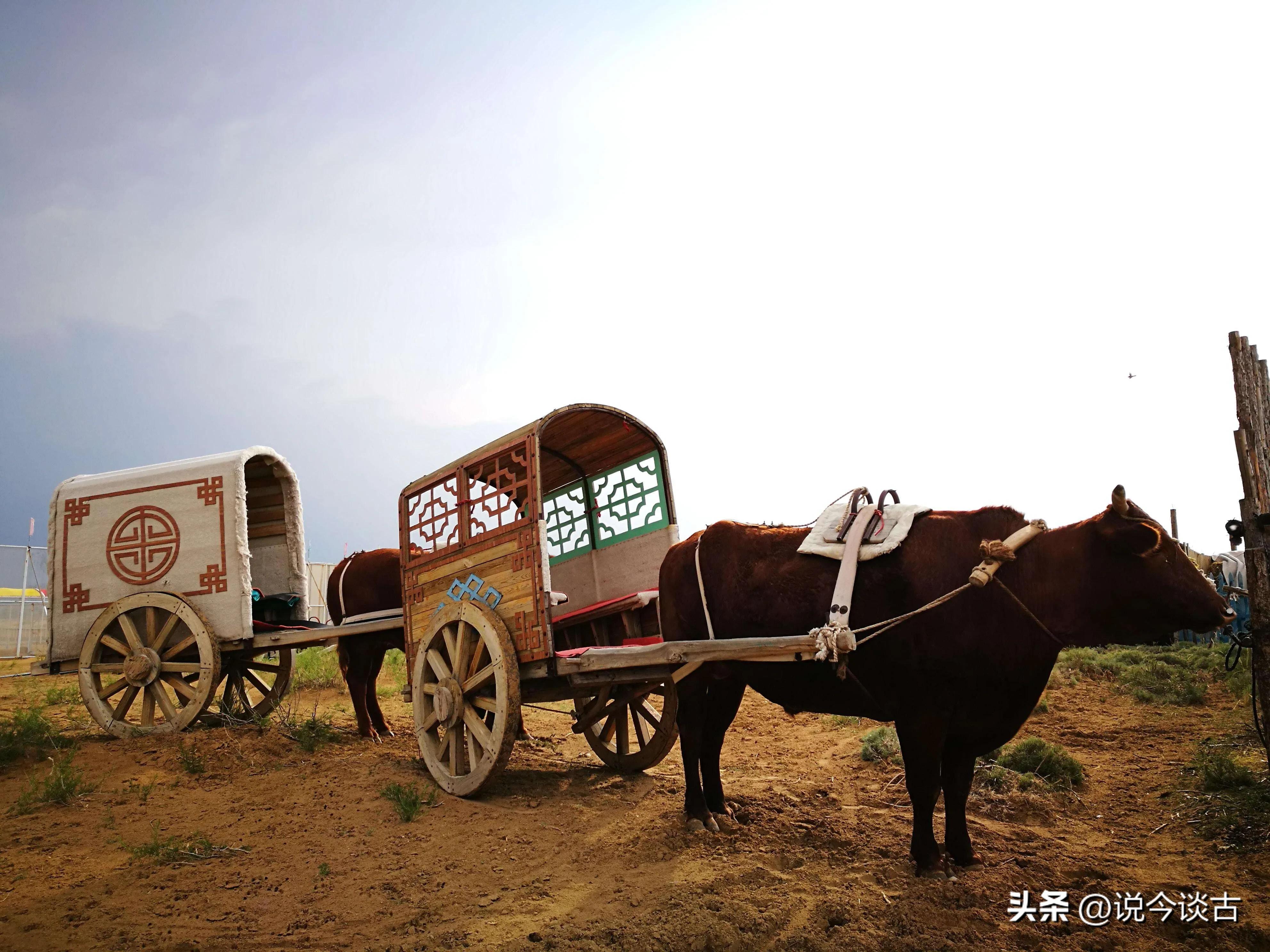 蒙古族的风土人情和民俗文化,大草原上蒙古族风土人情视频