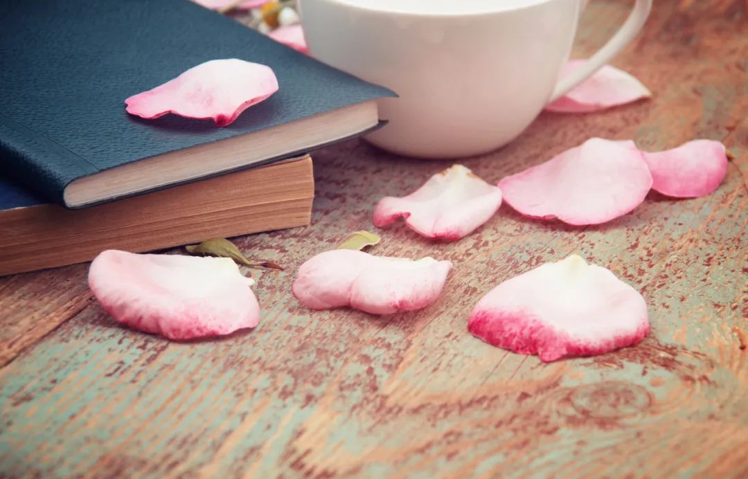 得一知己足矣的诗词,一生遇到最好的知己七句诗词