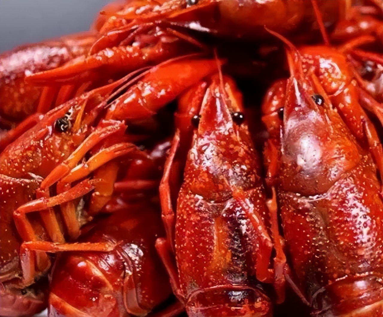 吃货必备多种小龙虾吃法,解锁让人陶醉的小龙虾吃法