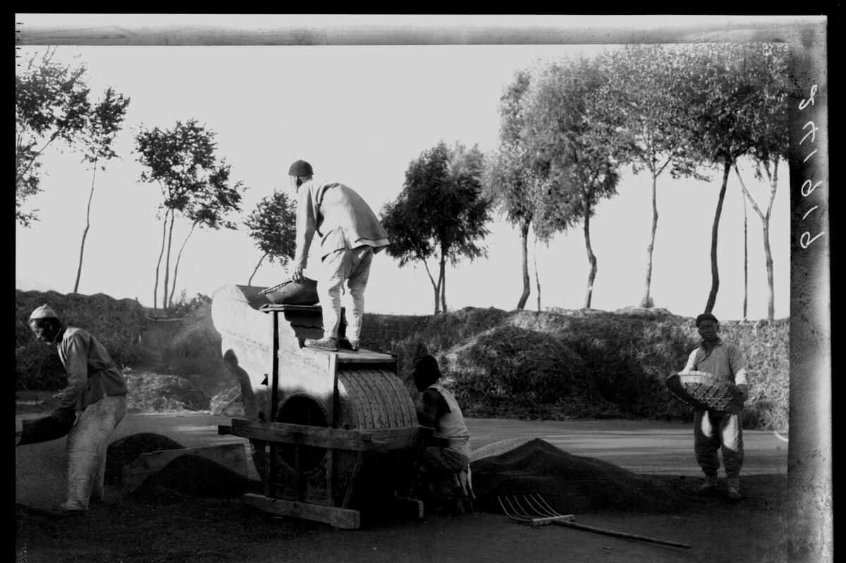 日军日记：*安妇慰**不服从管教，我很愤怒，用*刀刺**插入她的*体下**