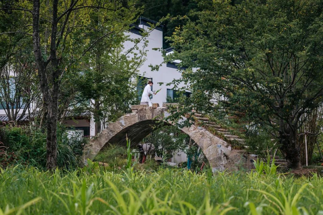 宏村小众景区,宏村山野小院