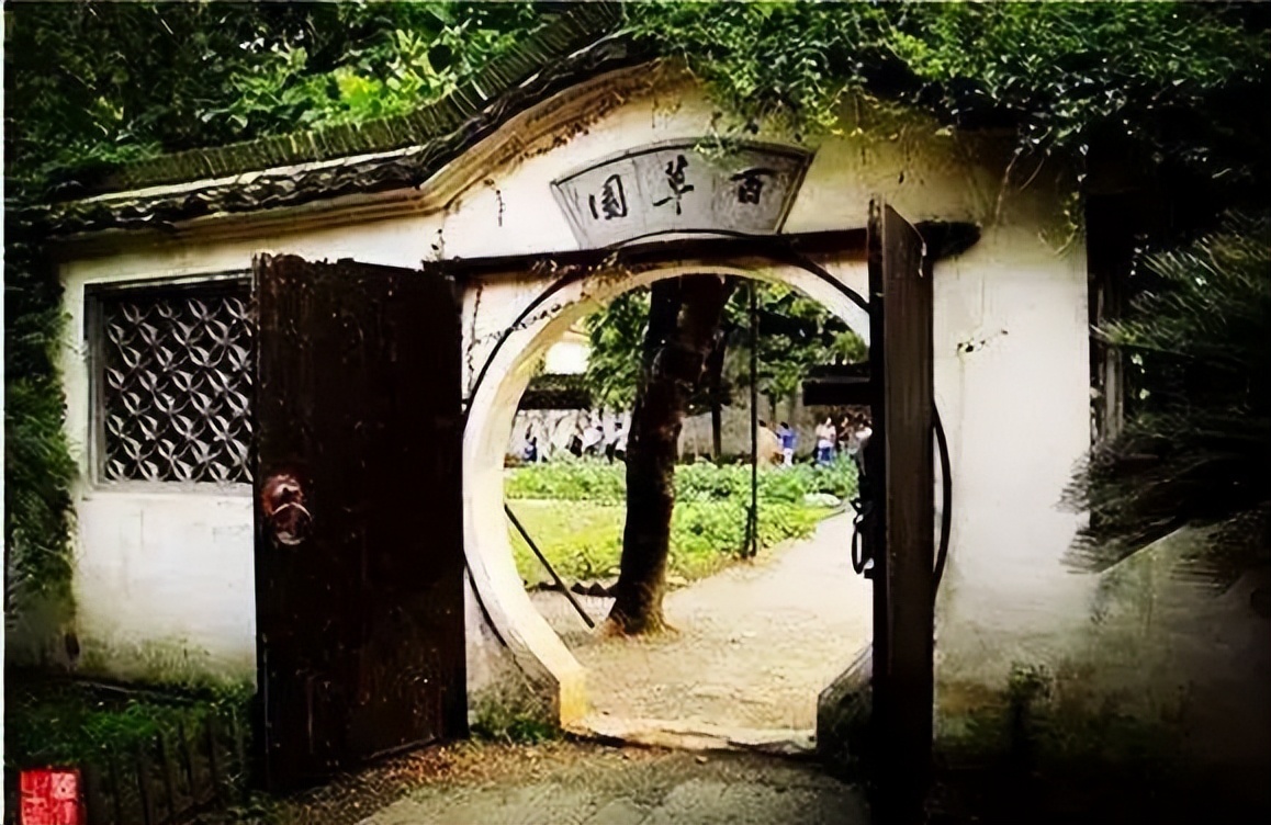 朝花夕拾乐观和爱才是生活的解药,朝花夕拾愿所有深情都不被辜负