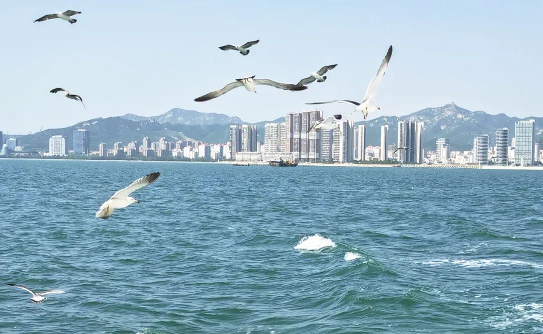 左手是山右手是海,海在半山腰