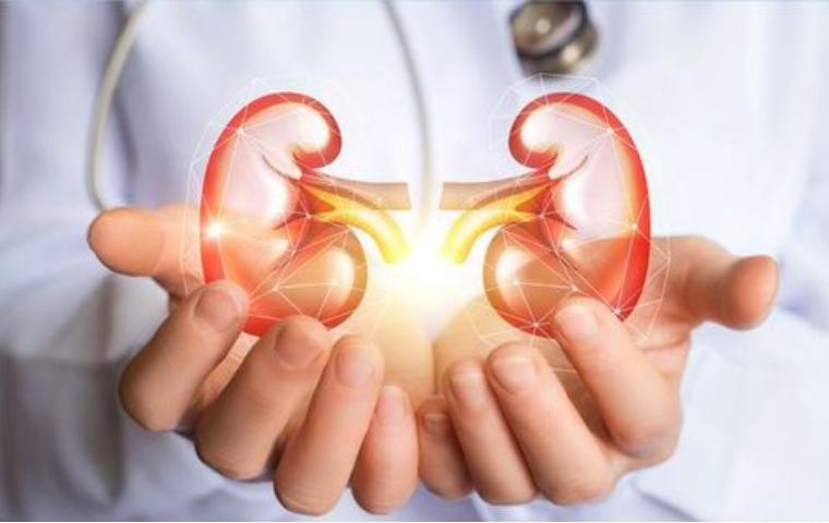 桥本甲状腺炎中医解释,中医对桥本氏甲状腺炎的认识