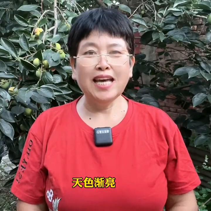 七夕短视频制作软件,100期短视频创作