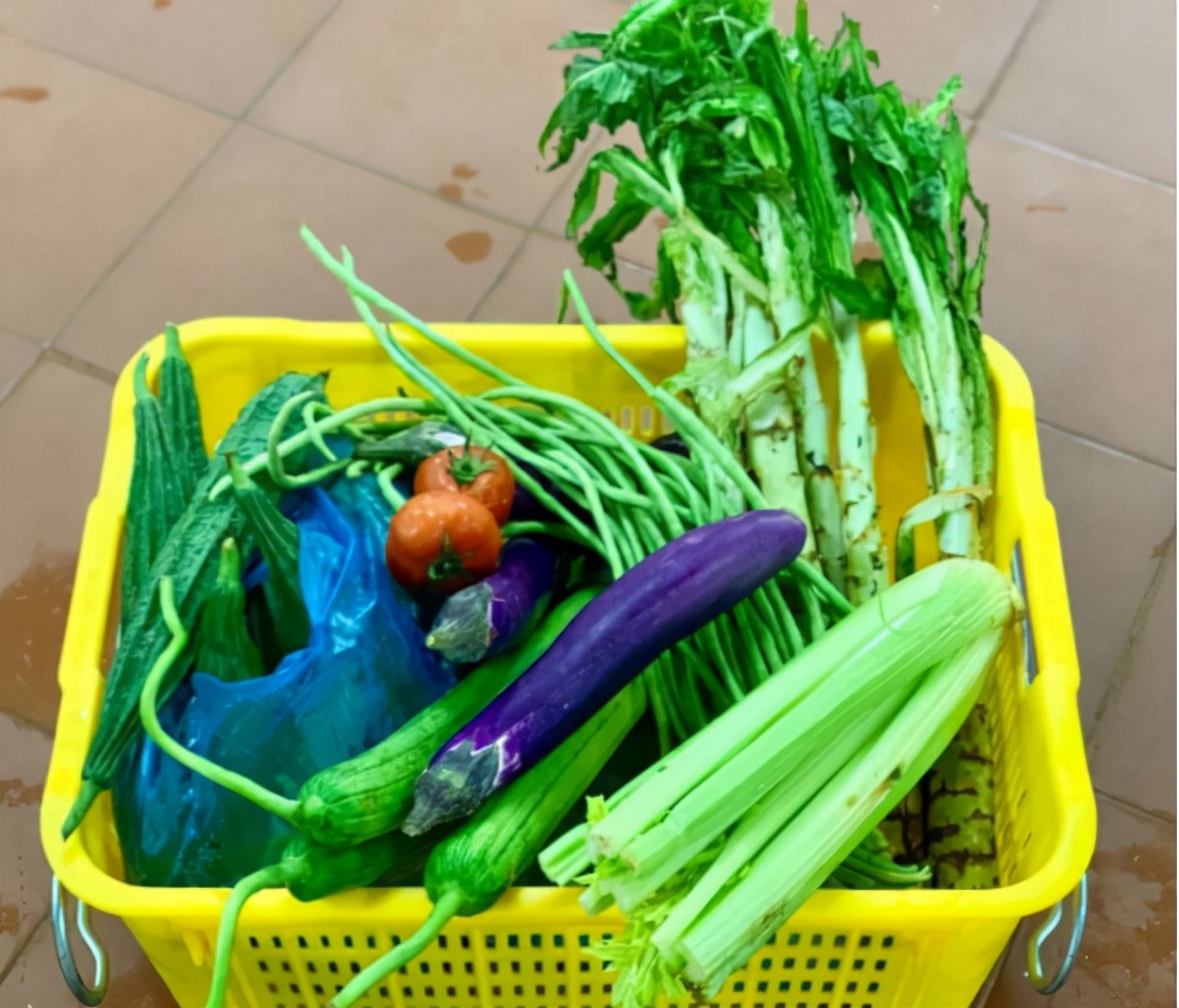 高血压吃维生素b2还是维生素d好,维生素b2和高血压药一起吃可以吗