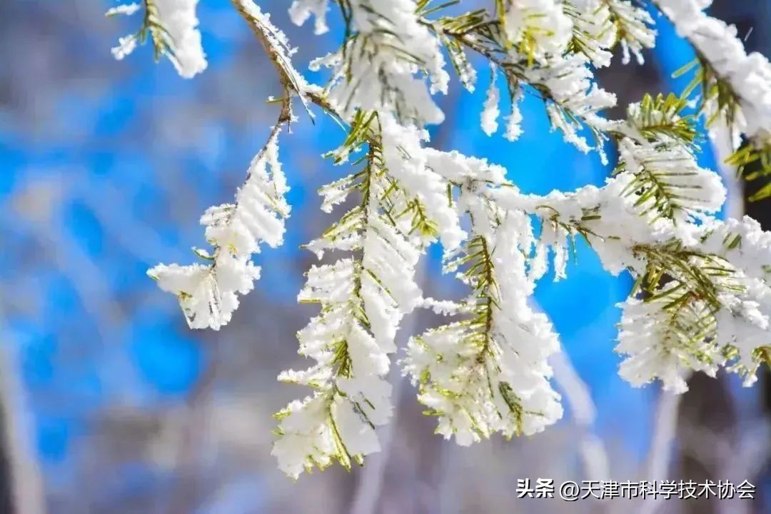 24节气今日大雪什么时间,二十四节气大雪歌曲