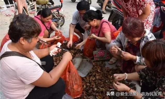 利润很吓人的冷门生意农村创业,农村挣钱最稳冷门生意