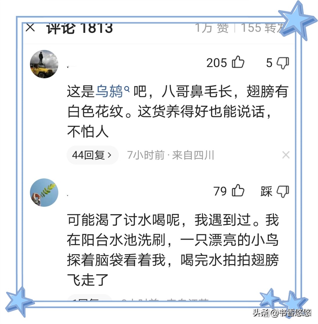 一只八哥飞来“插队”核检,一只八哥飞来插队