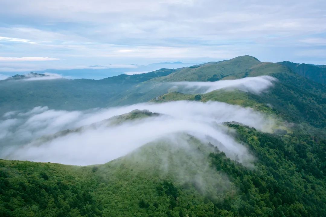 5元嗨吃菏泽,55嗨吃团购季