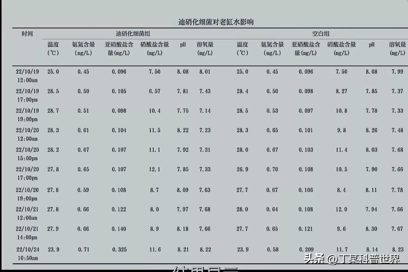 硝化细菌培养方法,硝化细菌的一些正确用法