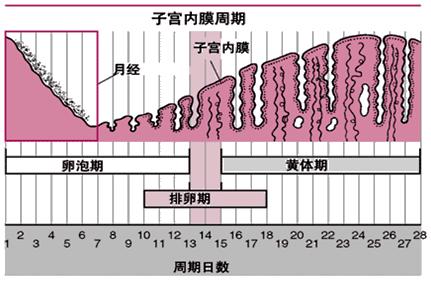怕她不来又怕她乱来的文案,怕她不来又怕她乱来出处