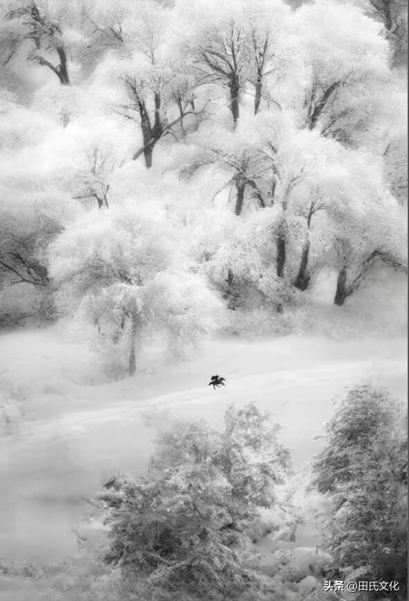 田氏文化,田氏宗亲文化传播