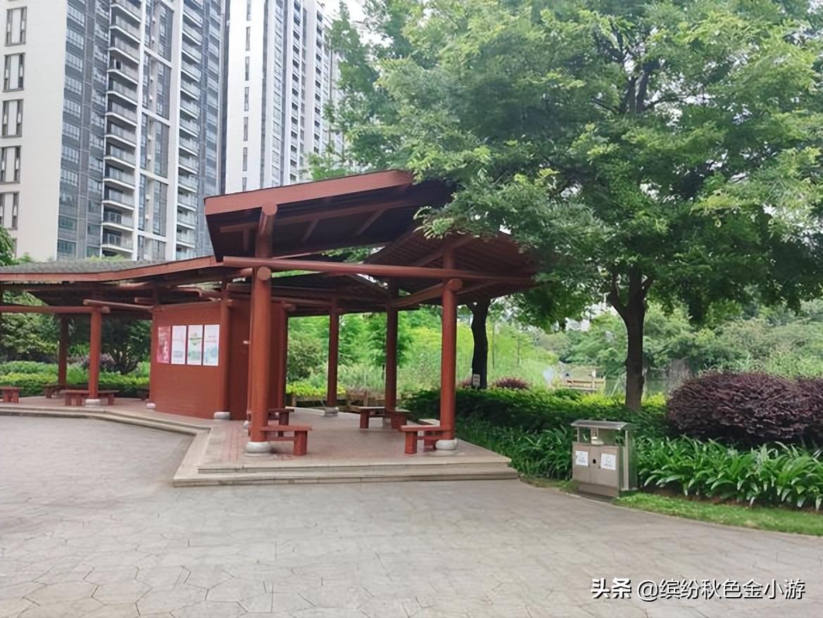 广西柳州有个小而美的公园，很多本地人都不知道，它原是个臭水塘