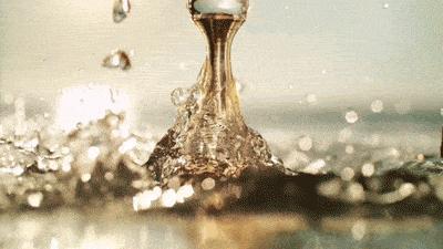 dior迪奥真我女士香水浓香和淡香,迪奥真我香水edp和eau有什么区别