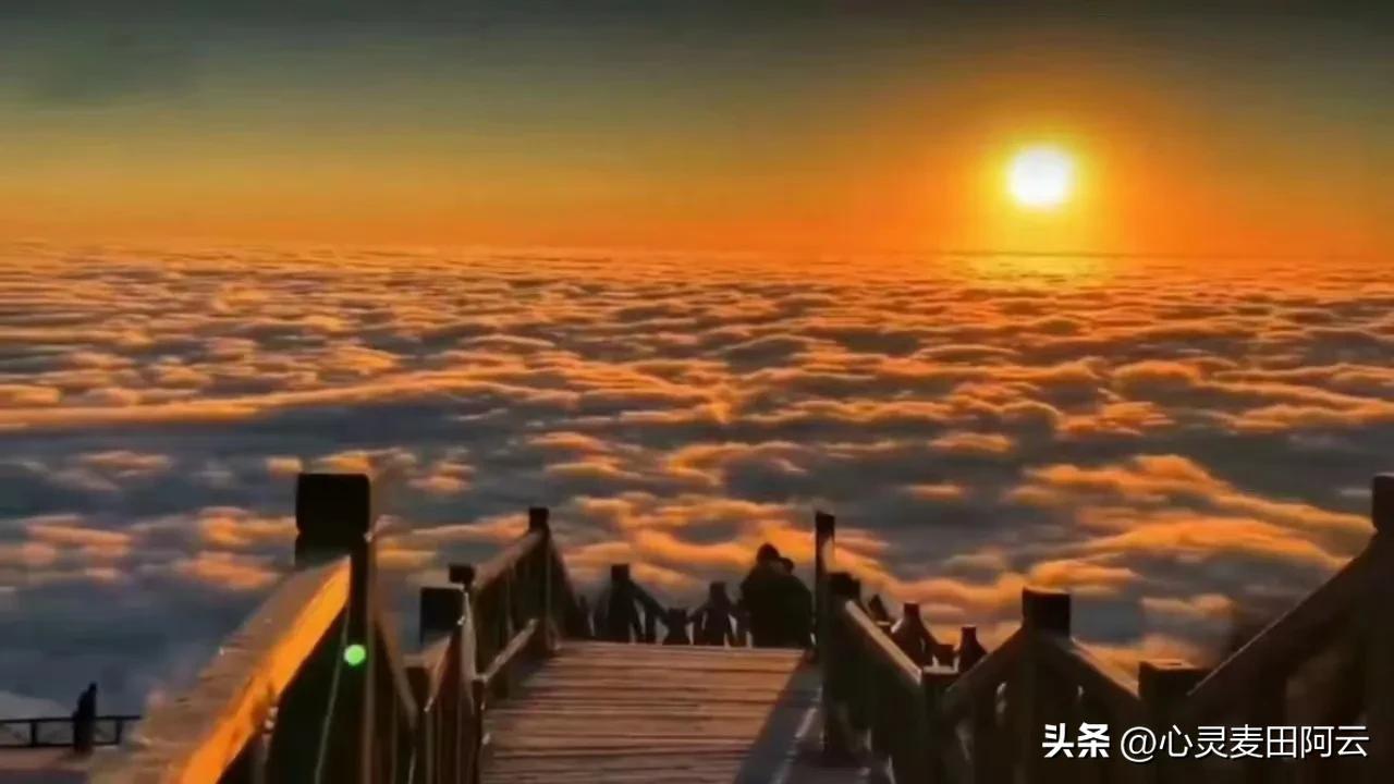 生活随笔原创作文,生活随笔日常琐事