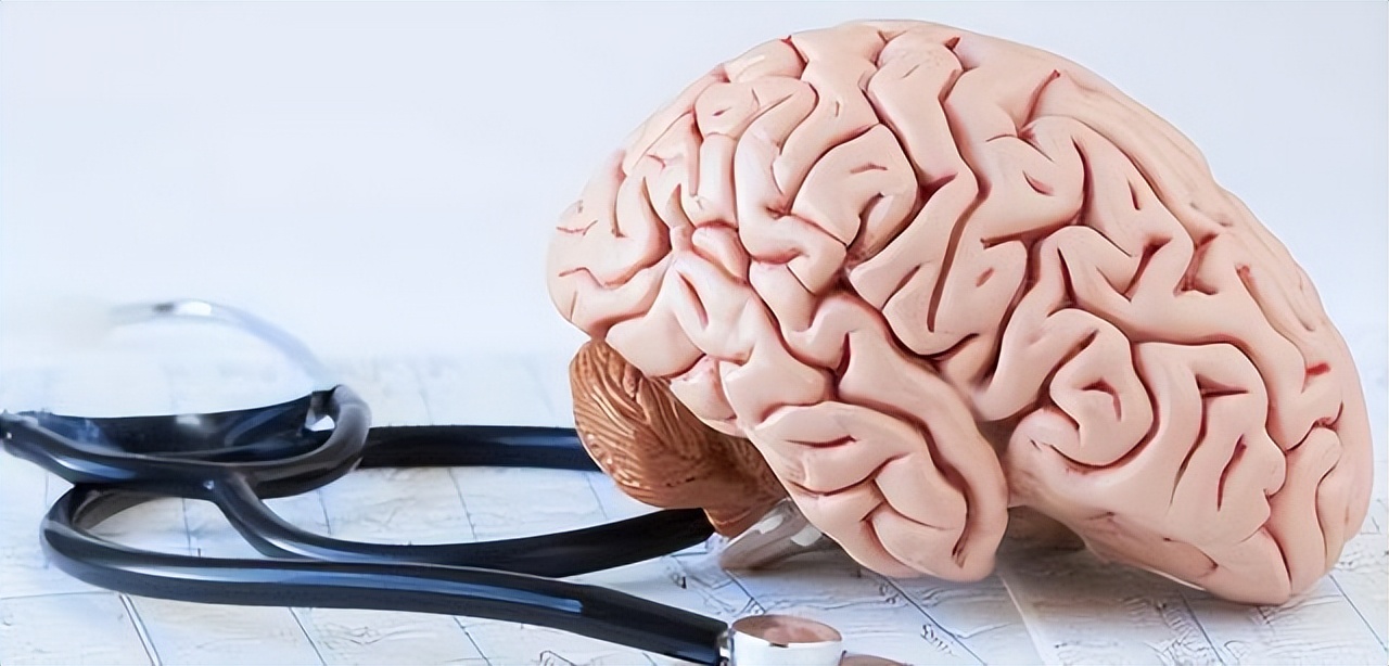 大脑开始萎缩身体会出现三个症状,大脑萎缩的10个征兆有哪些表现