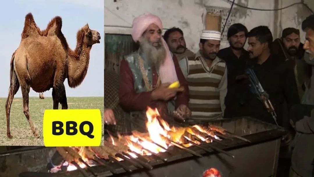 把骆驼卖给阿拉伯人，朋友两年赚出了七套房