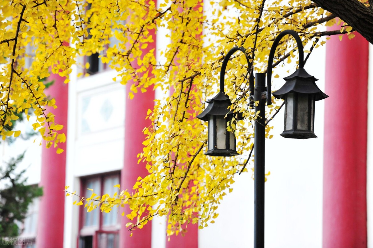 教师教学特色展示,名师教学的秘诀