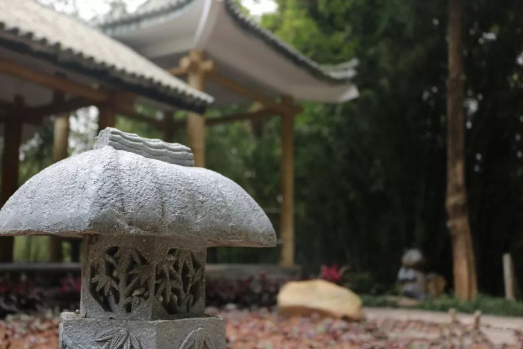 罗湖夜间游玩景点攻略大全,深圳罗湖八大必去免费景点室内