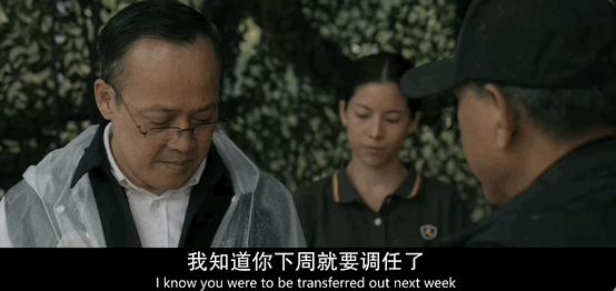 今年最高分了，还在涨