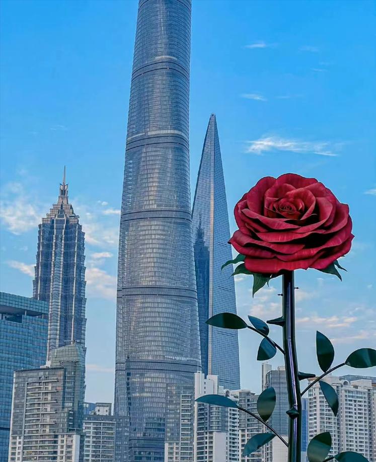 鎯呬汉鑺傛椿鍔ㄥ法鍨嬬帿鐟拌姳,鎯呬汉鑺傚法鍨嬬帿鐟拌姳