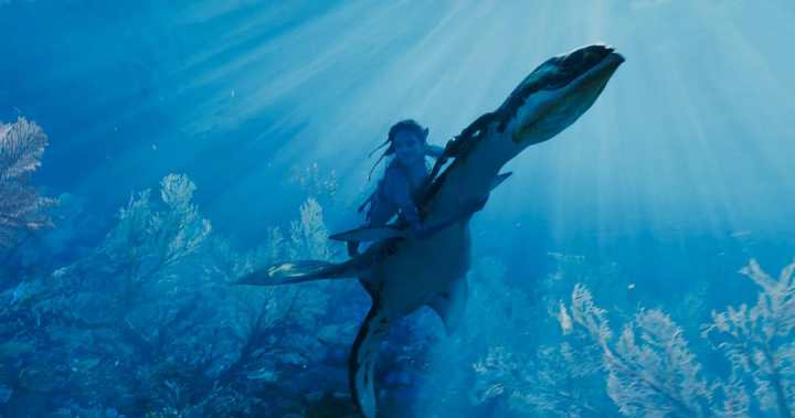 阿凡达2讽刺日本捕鲸船照片,阿凡达2讽刺日本捕鲸镜头