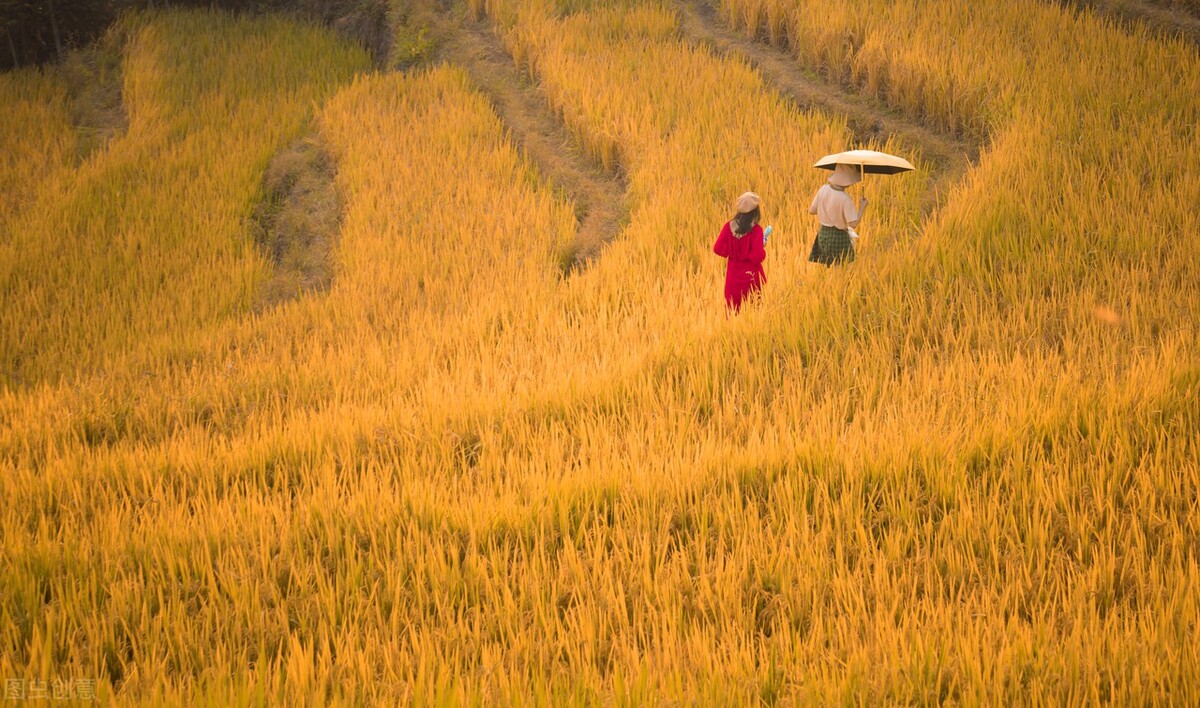国庆去哪儿?广州周边人少好玩的宝藏地推荐给你,拒绝人挤人