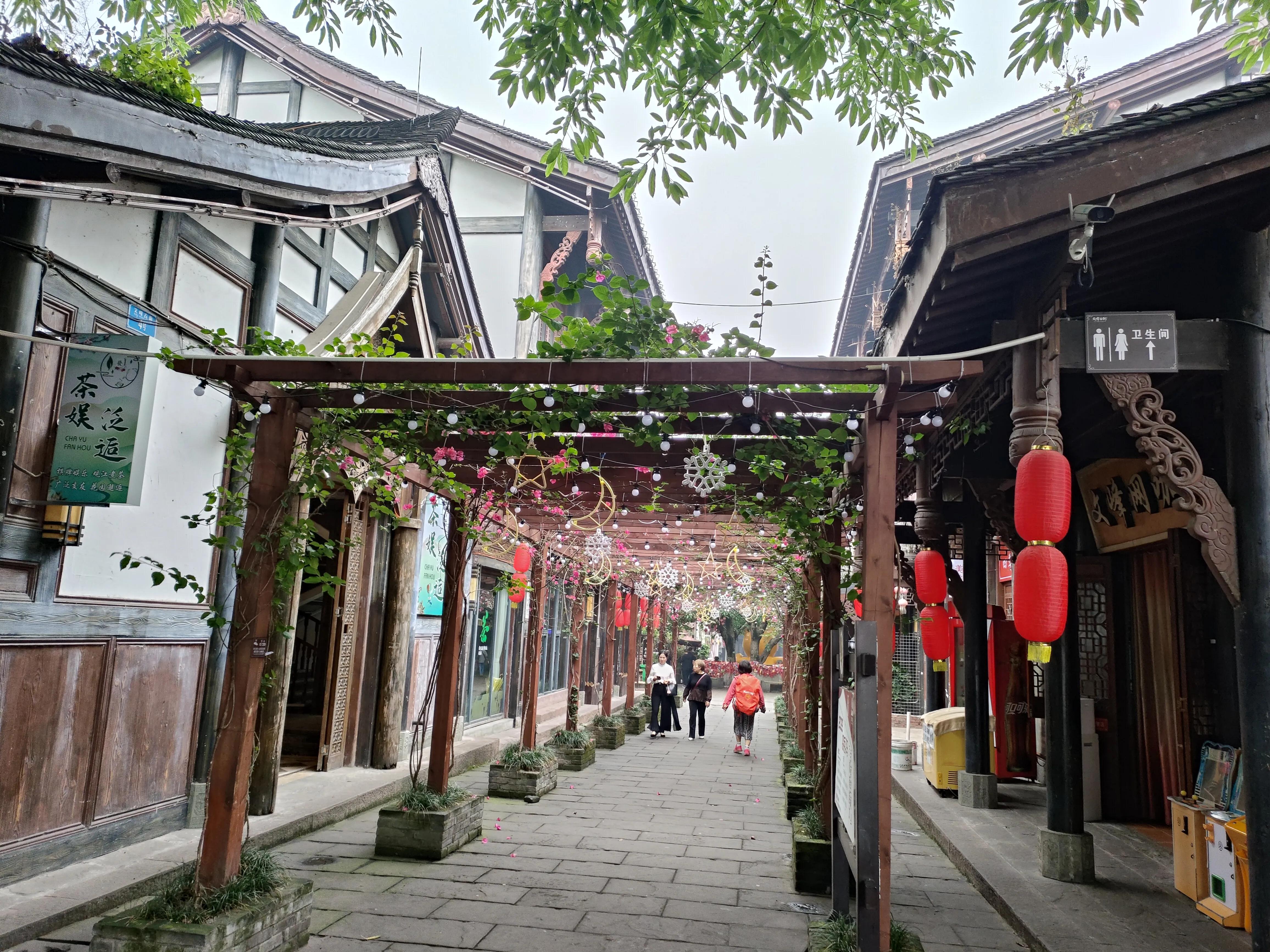 滇黔之行,川渝黔之行