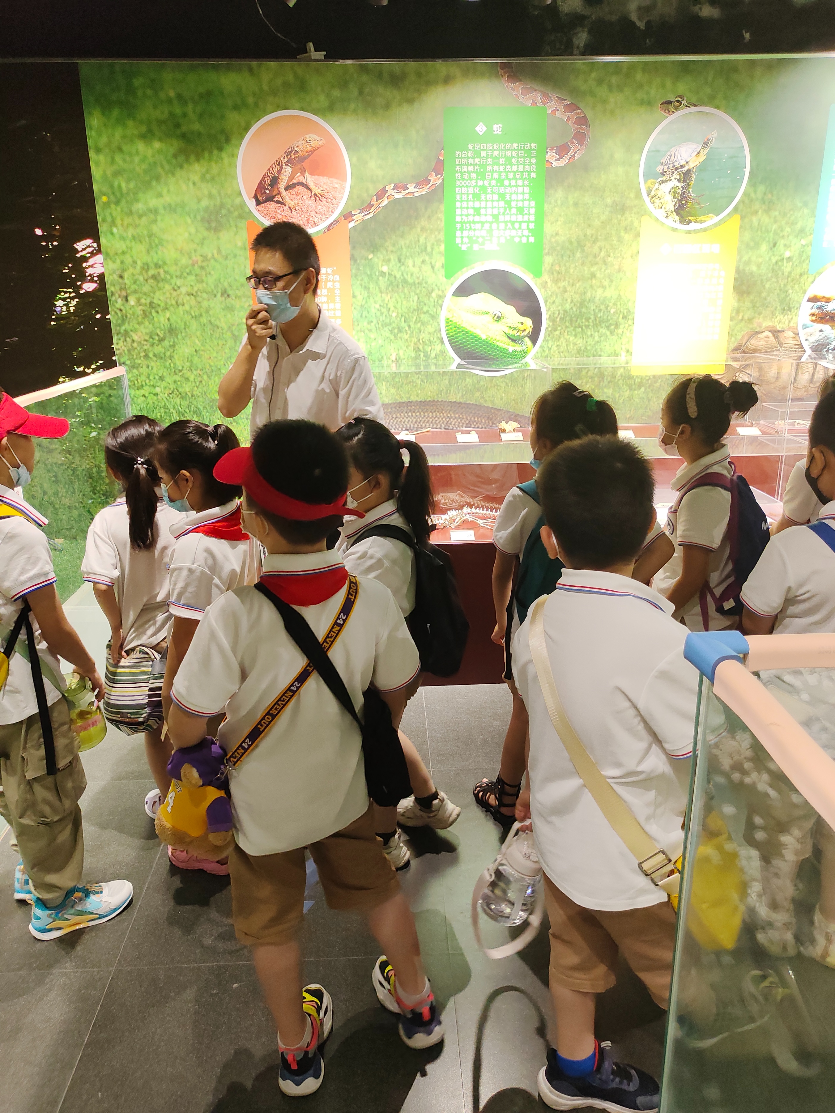 郑州生命自然科学馆,生命科学馆之旅