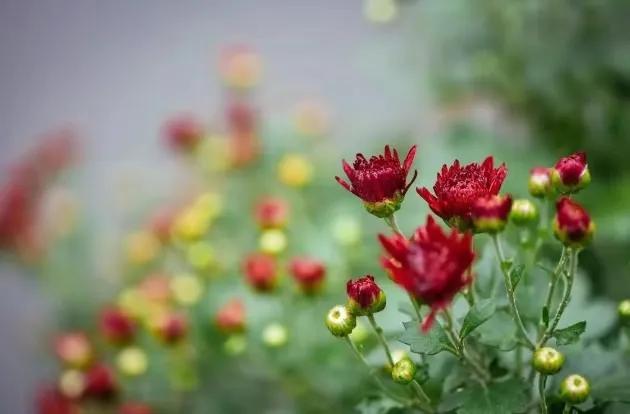 56岁阿姨陈述：老公中风后，日子反而过得比以前轻松自在了