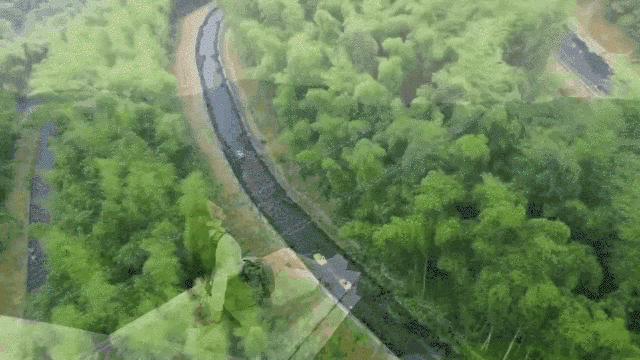 莫干山天际森谷山野乐园滑板,莫干山天际森谷乐园