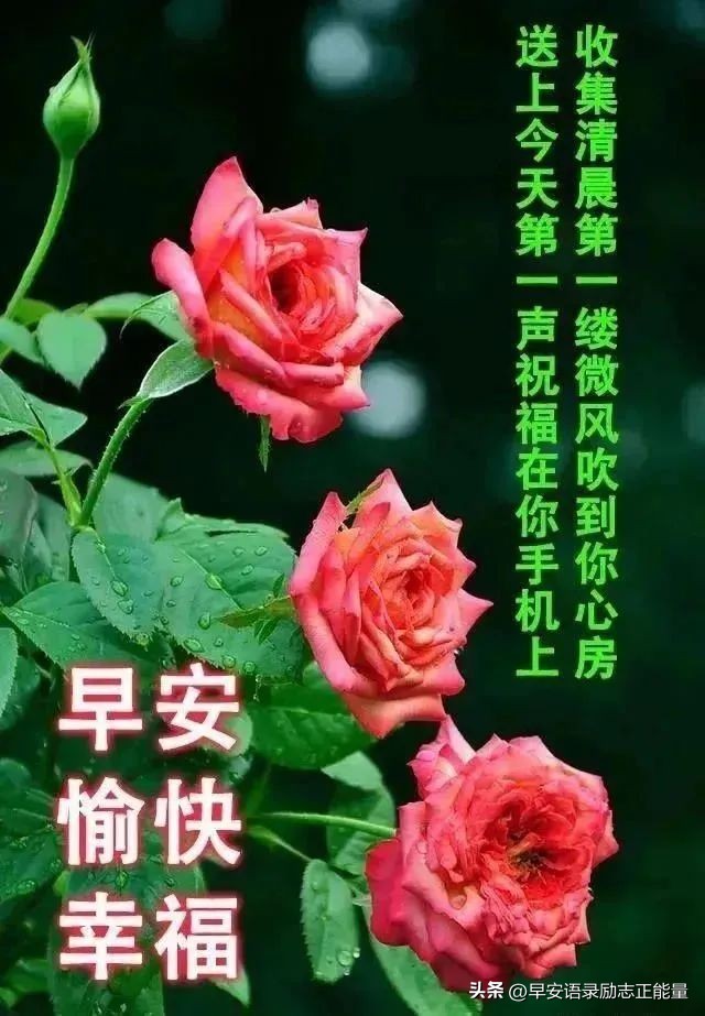 微商早安心语正能量一句话简短,微商早上发圈早安心语简短