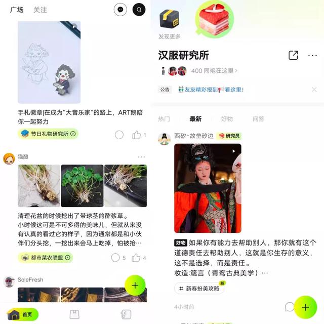 闃块噷娣樺疂娣卞害杩愯惀,娣樺疂鎺ㄥ嚭绉嶈崏鍏磋叮绀剧兢鏈夊暐