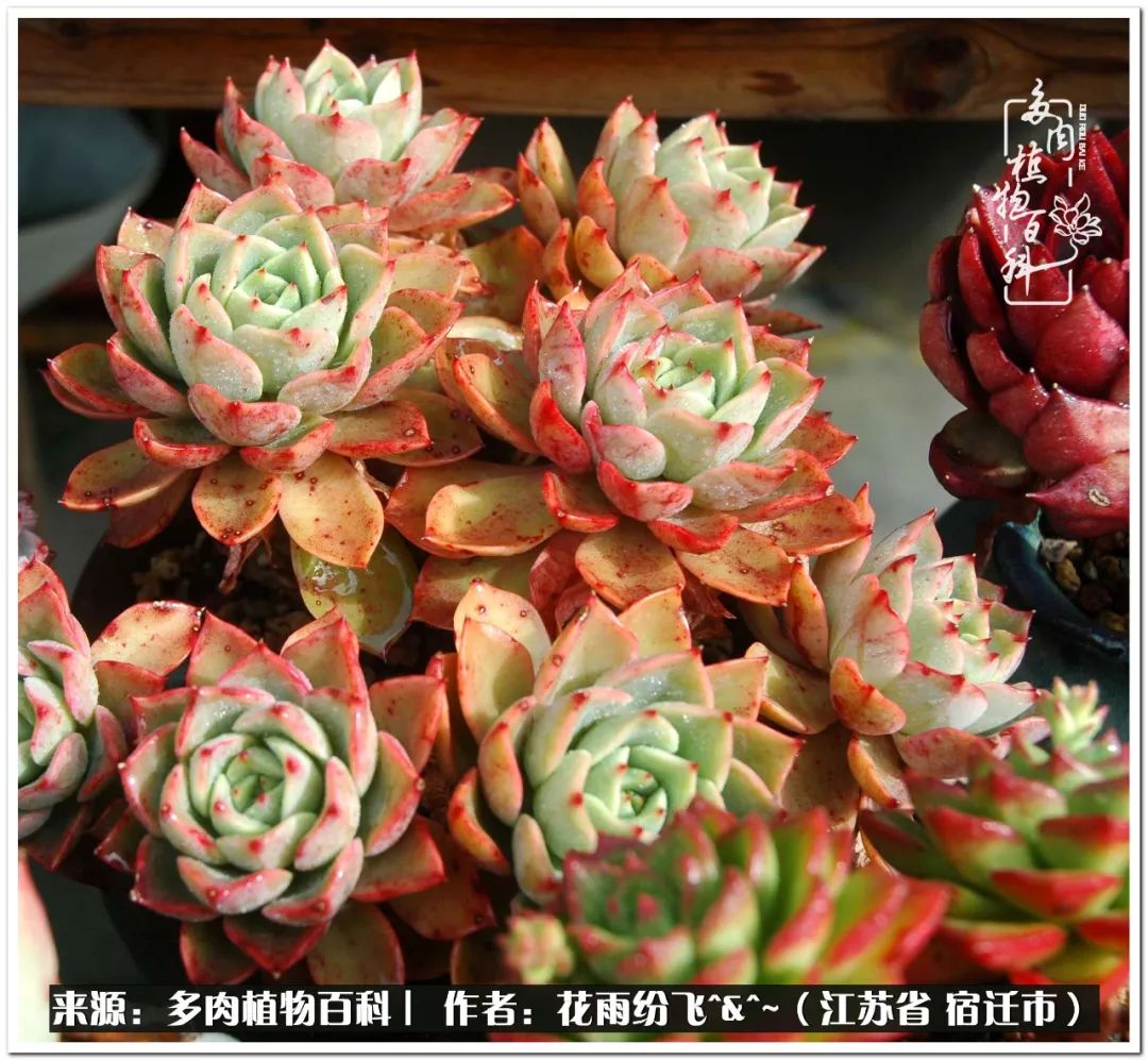 快乐的童年时光视频,回味快乐的童年美好的时光